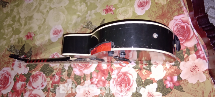 একোস্টিস গিটার